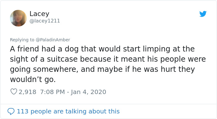 People Are Sharing Hilarious Stories About The Times They Thought Their Pets Were Dying People Are Sharing Hilarious Stories About The Times They Thought Their Pets Were Dying