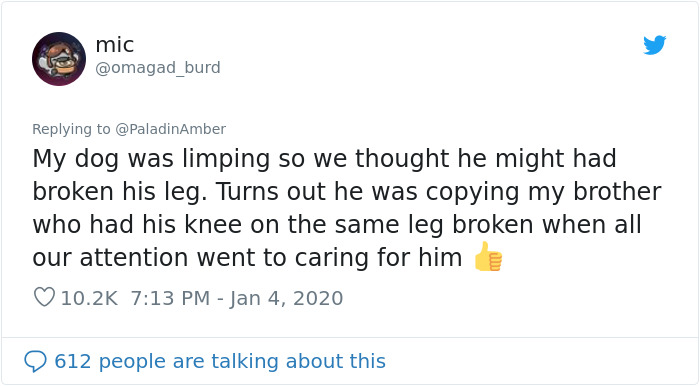 People Are Sharing Hilarious Stories About The Times They Thought Their Pets Were Dying People Are Sharing Hilarious Stories About The Times They Thought Their Pets Were Dying