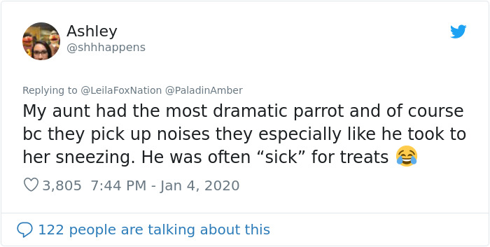 People Are Sharing Hilarious Stories About The Times They Thought Their Pets Were Dying