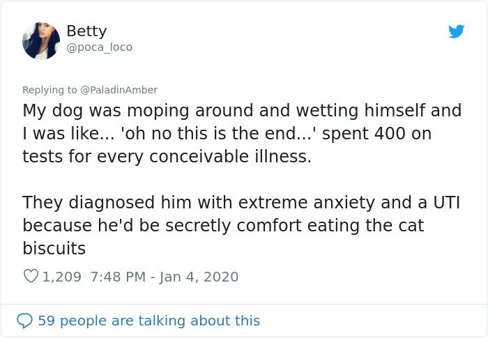 People Are Sharing Hilarious Stories About The Times They Thought Their Pets Were Dying