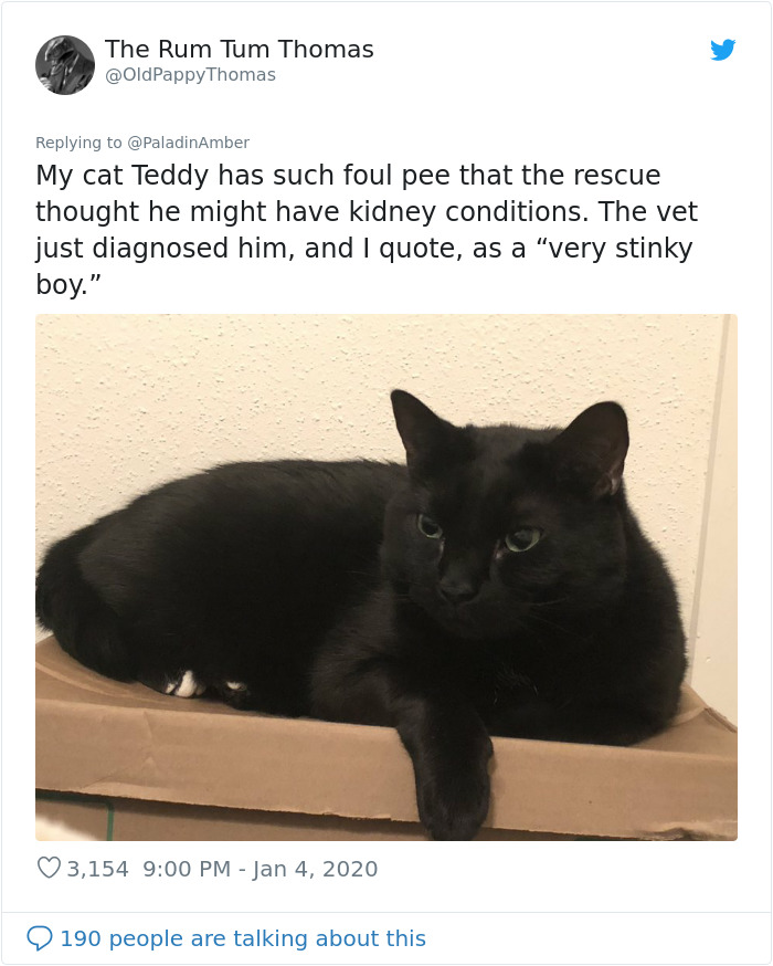 People Are Sharing Hilarious Stories About The Times They Thought Their Pets Were Dying People Are Sharing Hilarious Stories About The Times They Thought Their Pets Were Dying
