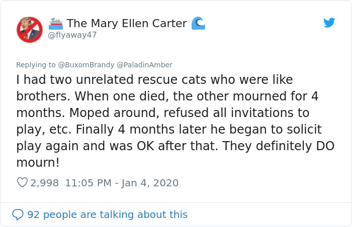 People Are Sharing Hilarious Stories About The Times They Thought Their Pets Were Dying People Are Sharing Hilarious Stories About The Times They Thought Their Pets Were Dying