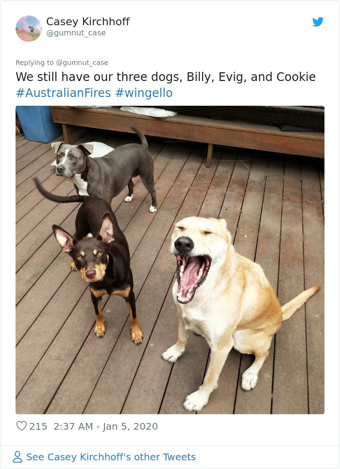 Australian Woman Shares Photos After Fires Destroyed Her House, But Left Her Garden Untouched