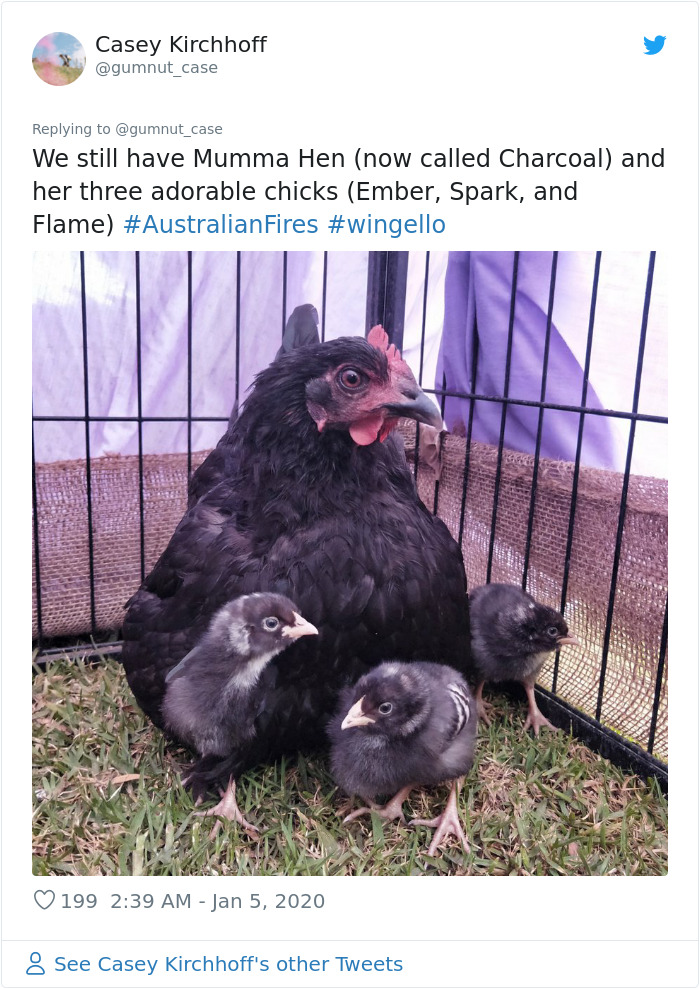 Australian Woman Shares Photos After Fires Destroyed Her House, But Left Her Garden Untouched