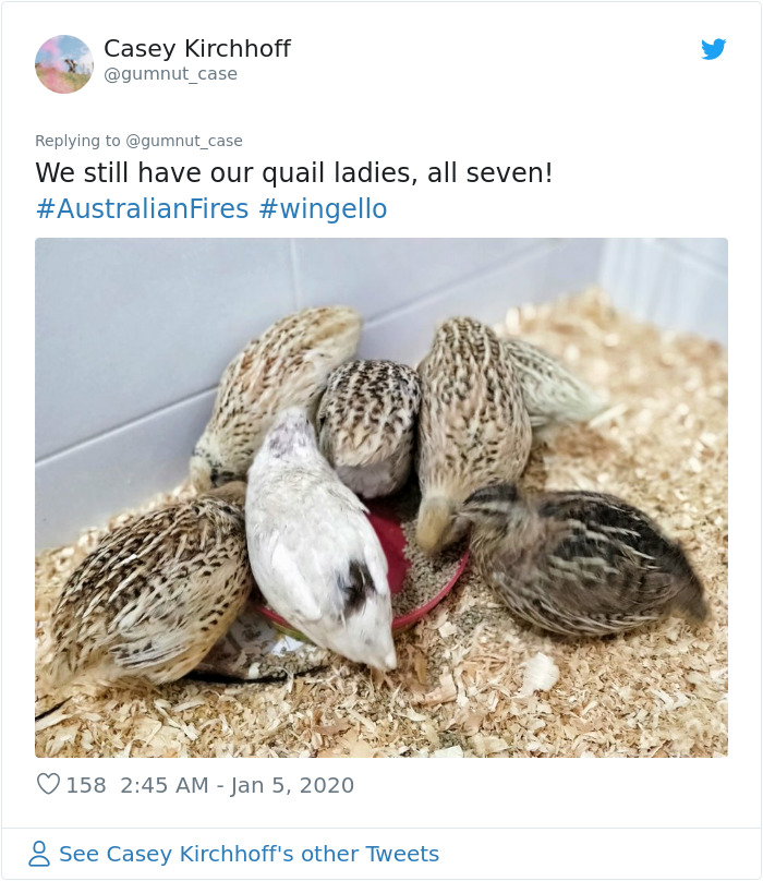 Australian Woman Shares Photos After Fires Destroyed Her House, But Left Her Garden Untouched