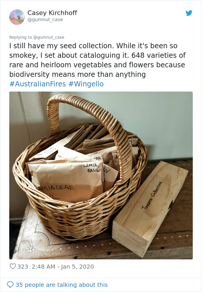 Australian Woman Shares Photos After Fires Destroyed Her House, But Left Her Garden Untouched