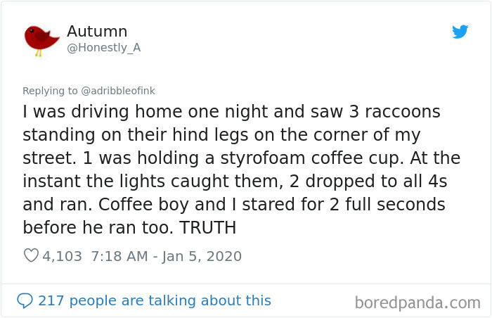 True-Story-Sounds-Like-Lie