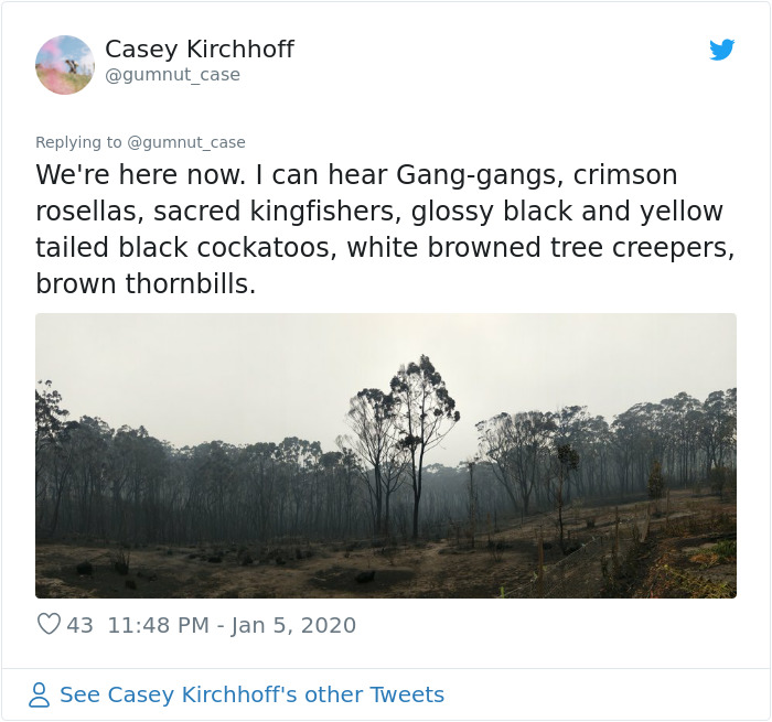 Australian Woman Shares Photos After Fires Destroyed Her House, But Left Her Garden Untouched Australian Woman Shares Photos After Fires Destroyed Her House, But Left Her Garden Untouched