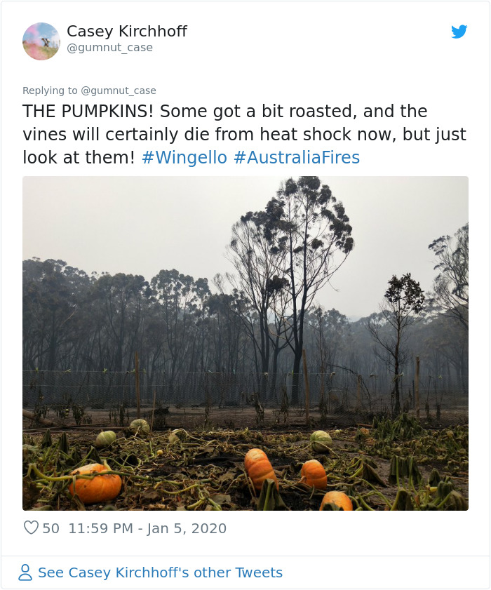 Australian Woman Shares Photos After Fires Destroyed Her House, But Left Her Garden Untouched