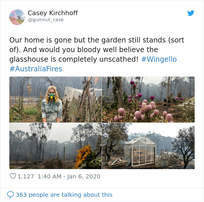 Australian Woman Shares Photos After Fires Destroyed Her House, But Left Her Garden Untouched Australian Woman Shares Photos After Fires Destroyed Her House, But Left Her Garden Untouched