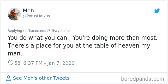 Stray Dog Visits Subway Every Day For A Free Sandwich Stray Dog Visits Subway Every Day For A Free Sandwich