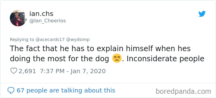 Stray Dog Visits Subway Every Day For A Free Sandwich