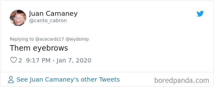 Stray Dog Visits Subway Every Day For A Free Sandwich