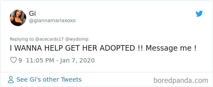 Stray Dog Visits Subway Every Day For A Free Sandwich Stray Dog Visits Subway Every Day For A Free Sandwich