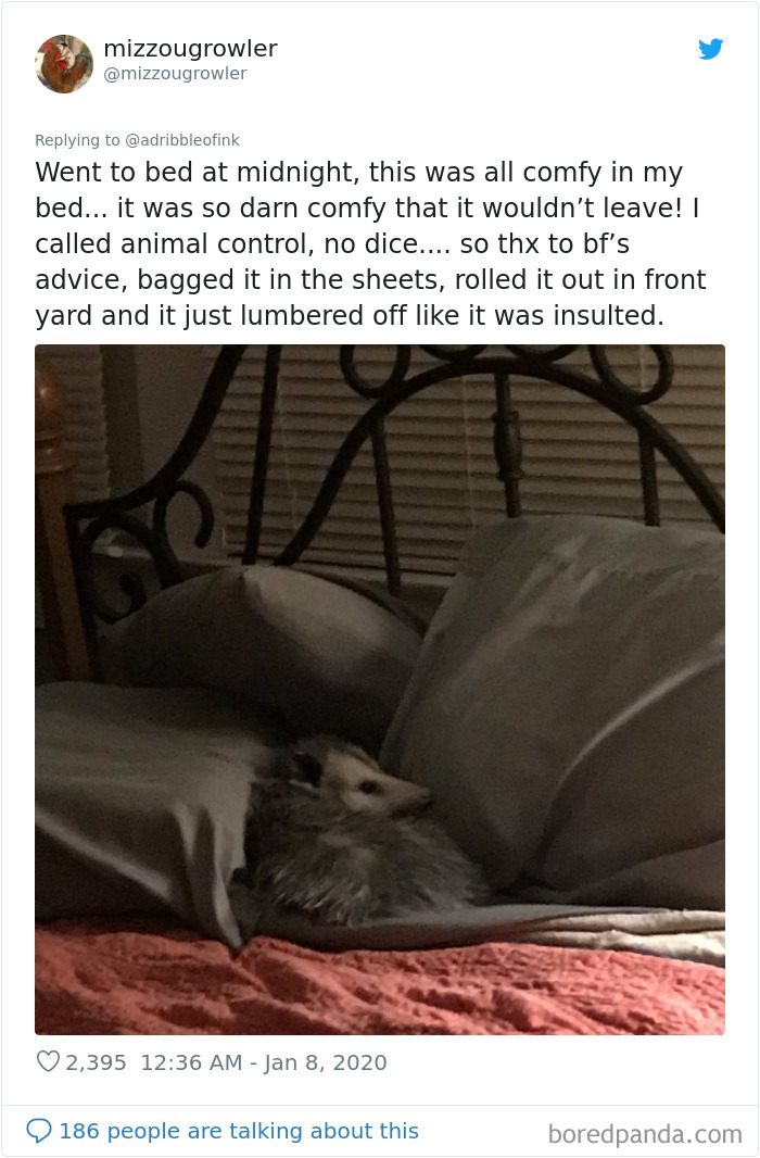 True-Story-Sounds-Like-Lie