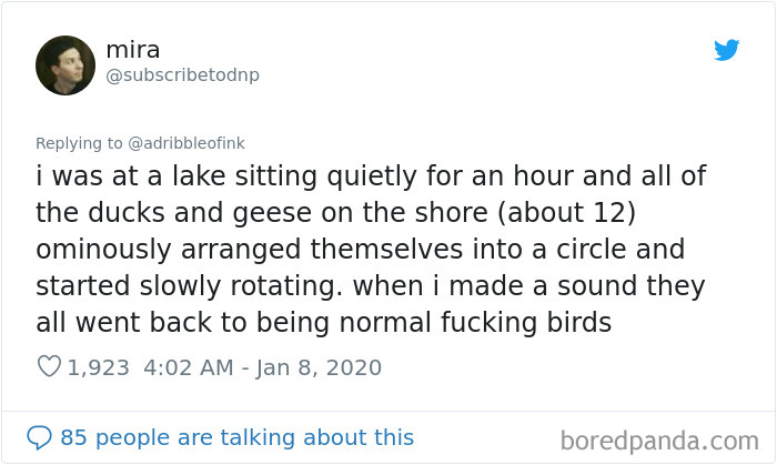 True-Story-Sounds-Like-Lie