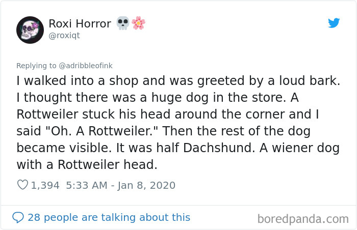 True-Story-Sounds-Like-Lie