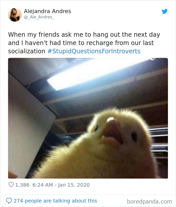 Stupid-Questions-For-Introverts