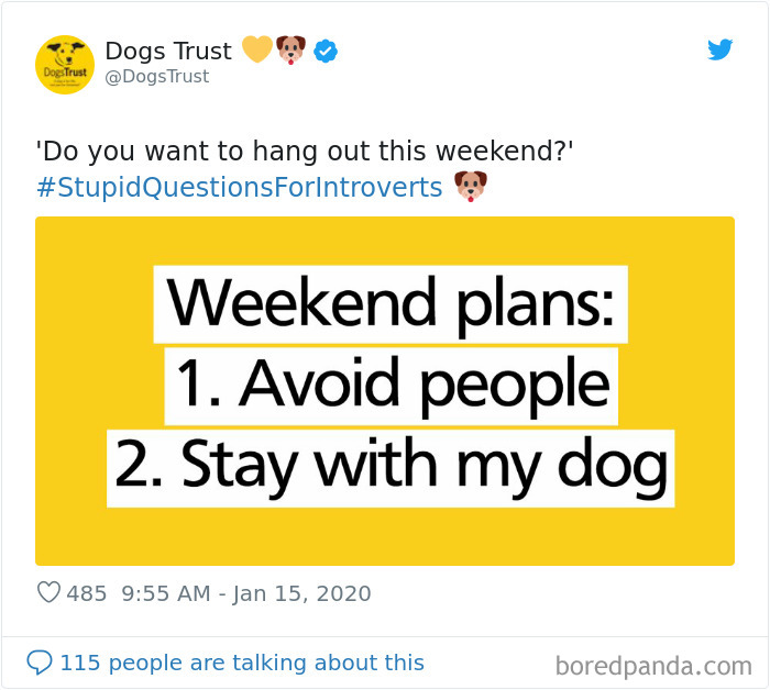 Stupid-Questions-For-Introverts