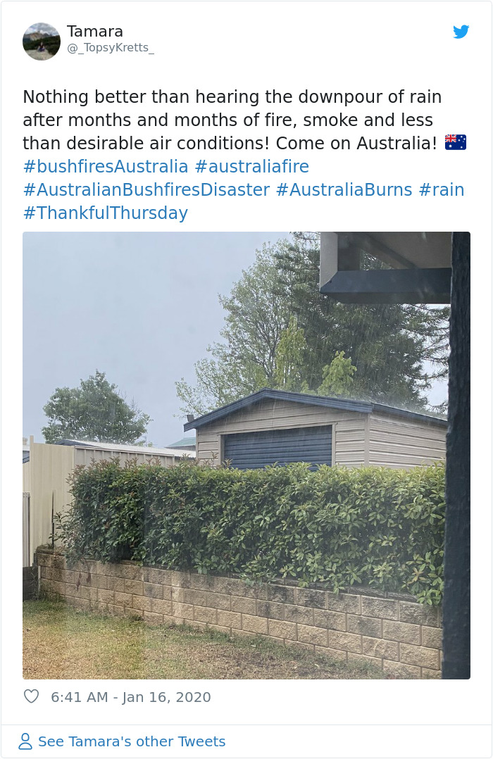 The Rain Finally Pours Down In Australia Putting Out Over 30 Deadly Bushfires The Rain Finally Pours Down In Australia Putting Out Over 30 Deadly Bushfires