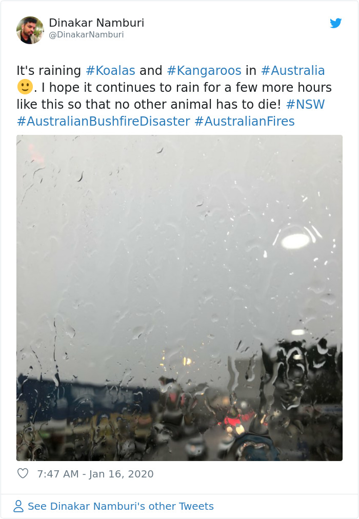 The Rain Finally Pours Down In Australia Putting Out Over 30 Deadly Bushfires The Rain Finally Pours Down In Australia Putting Out Over 30 Deadly Bushfires