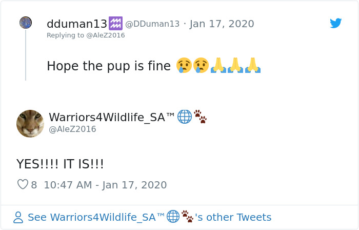 Cyclist Stops Mid-Practice To Help A Dehydrated Dog, Ends Up Carrying It On His Back Cyclist Stops Mid-Practice To Help A Dehydrated Dog, Ends Up Carrying It On His Back