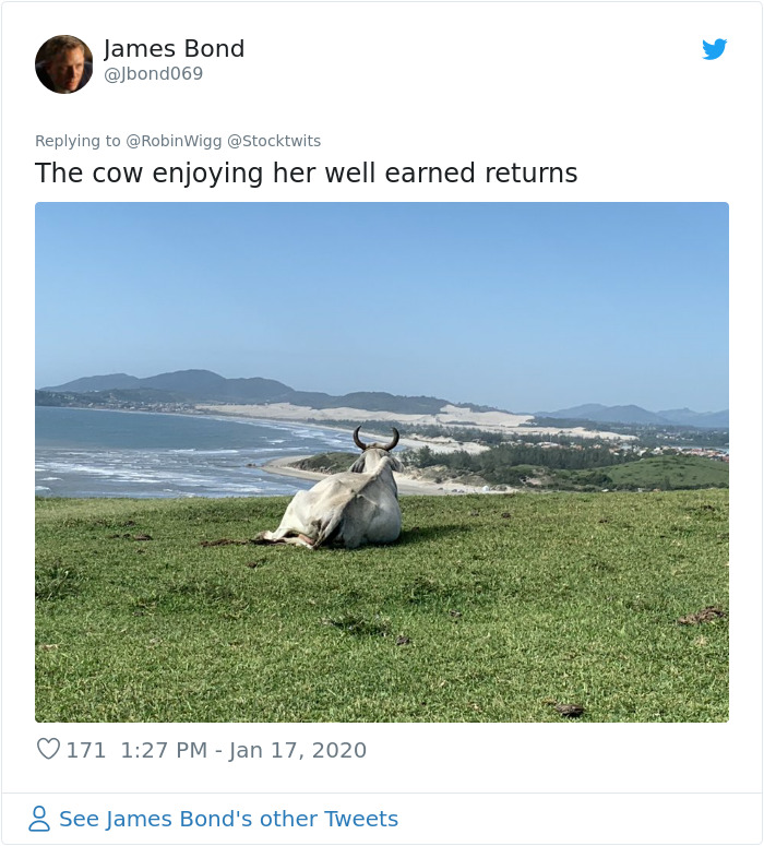 Norwegian TV Tests The Judgement Of Professional Stockbrokers Against Astrology, Beauty Bloggers, And Cow Poop Norwegian TV Tests The Judgement Of Professional Stockbrokers Against Astrology, Beauty Bloggers, And Cow Poop