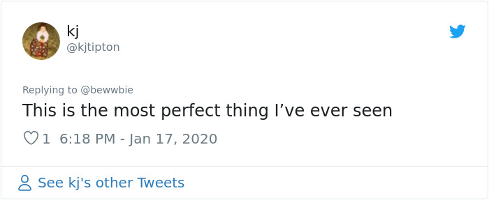 Woman Asks Her Sister To Dog-Sit Her Canine Friend, Sends A 2-Page PDF With Instructions On How To Do It Properly