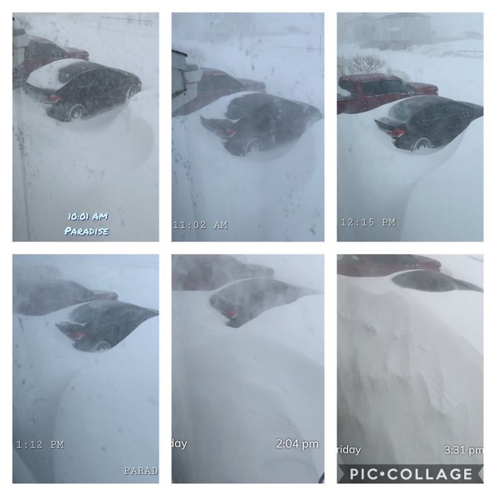 6 Hour Picture Collage Of The Driveway. My Civic Is Slowly Disappearing Under The Drift That Keeps On Growing