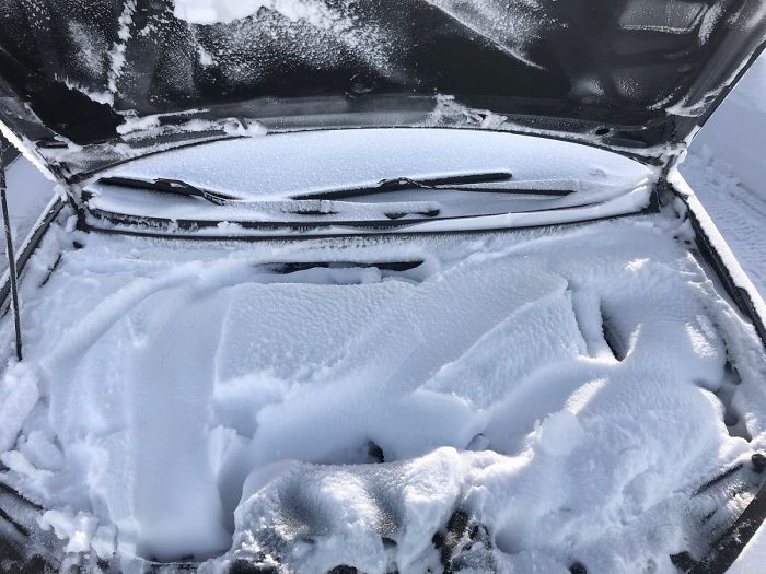 I Have Driven A Lot Of Miles In Nl Traffic In The Last 35+ Years, And Have Shovelled A Lot Of Snow In Nlwx, But Having To Shovel This Was A First. Thank You Blizzard2020 For A New Experience