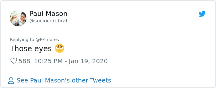 Possum Trashes Woman's Office In Australia, Becomes A Meme