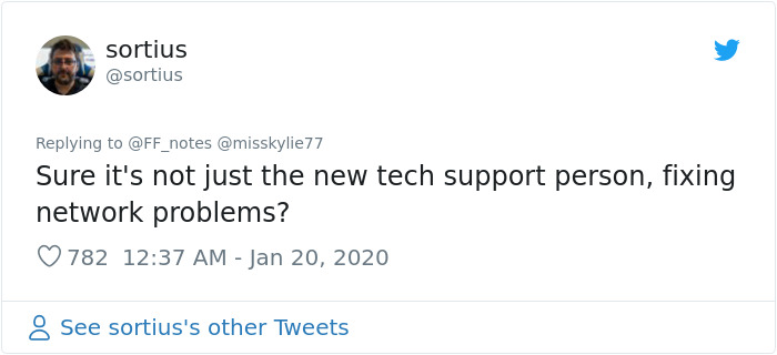 Possum Trashes Woman's Office In Australia, Becomes A Meme Possum Trashes Woman's Office In Australia, Becomes A Meme