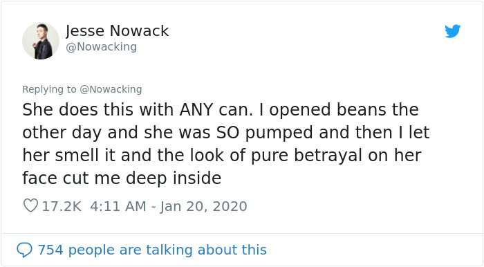 Guy Shares His Cat's Funny Reaction To Him Opening A Can Thinking It's Tuna, Gets A Fan Comic Strip