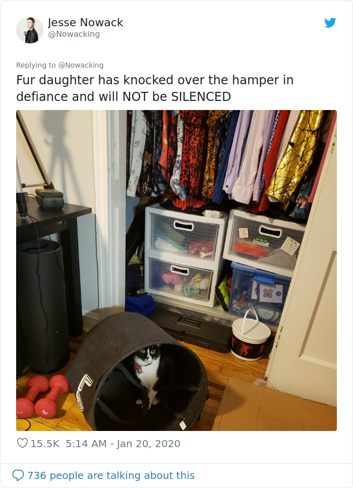 Guy Shares His Cat's Funny Reaction To Him Opening A Can Thinking It's Tuna, Gets A Fan Comic Strip