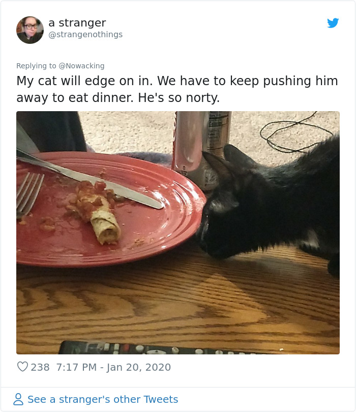 Guy Shares His Cat's Funny Reaction To Him Opening A Can Thinking It's Tuna, Gets A Fan Comic Strip