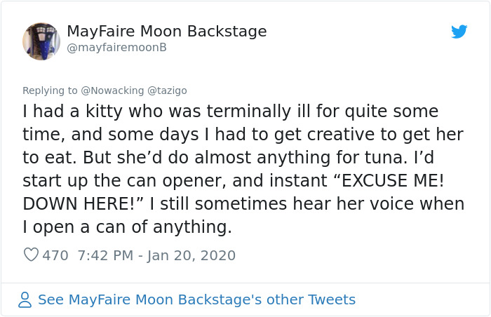 Guy Shares His Cat's Funny Reaction To Him Opening A Can Thinking It's Tuna, Gets A Fan Comic Strip Guy Shares His Cat's Funny Reaction To Him Opening A Can Thinking It's Tuna, Gets A Fan Comic Strip