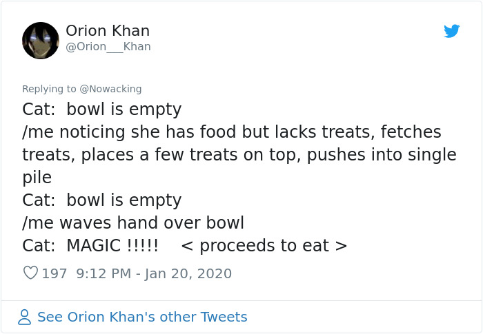 Guy Shares His Cat's Funny Reaction To Him Opening A Can Thinking It's Tuna, Gets A Fan Comic Strip