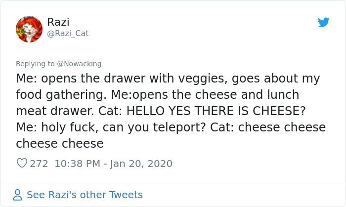 Guy Shares His Cat's Funny Reaction To Him Opening A Can Thinking It's Tuna, Gets A Fan Comic Strip Guy Shares His Cat's Funny Reaction To Him Opening A Can Thinking It's Tuna, Gets A Fan Comic Strip