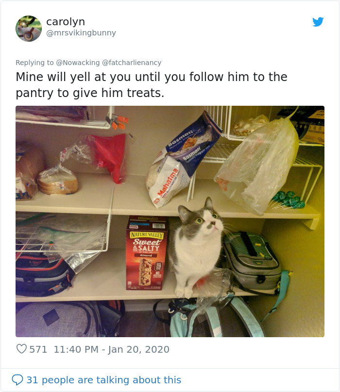 Guy Shares His Cat's Funny Reaction To Him Opening A Can Thinking It's Tuna, Gets A Fan Comic Strip