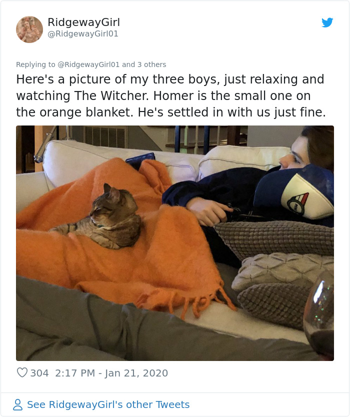 Guy Shares His Cat's Funny Reaction To Him Opening A Can Thinking It's Tuna, Gets A Fan Comic Strip