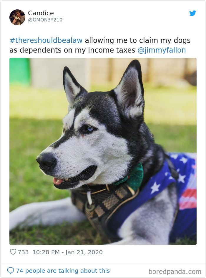 There-Should-Be-A-Law-Tweets-Jimmy-Fallon