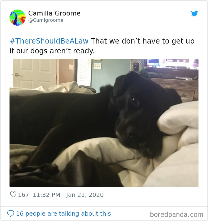 There-Should-Be-A-Law-Tweets-Jimmy-Fallon