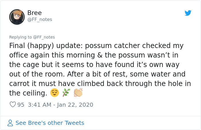 Possum Trashes Woman's Office In Australia, Becomes A Meme