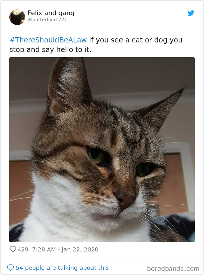 There-Should-Be-A-Law-Tweets-Jimmy-Fallon