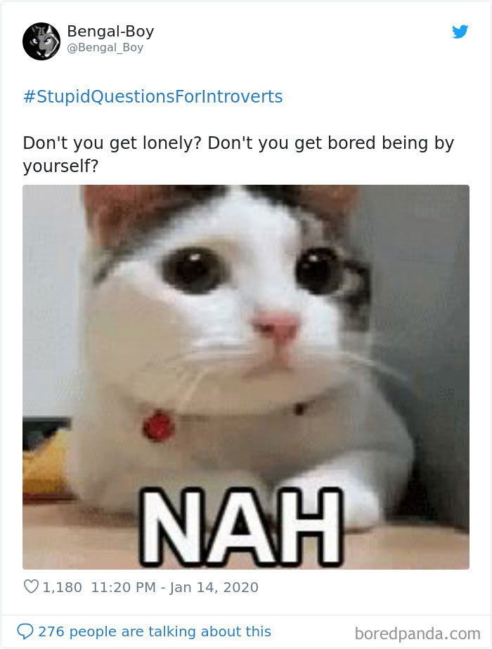Stupid-Questions-For-Introverts