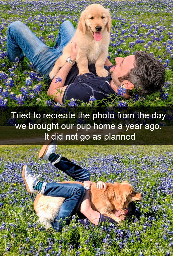 Funny-Hilarious-Dog-Snapchats