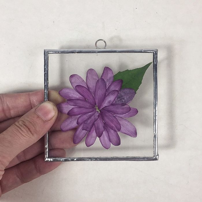 About Two Years Ago, I Picked Up A New Hobby Of Making Flower Herbariums And Here Are My Recent Works About Two Years Ago, I Picked Up A New Hobby Of Making Flower Herbariums And Here Are My Recent Works