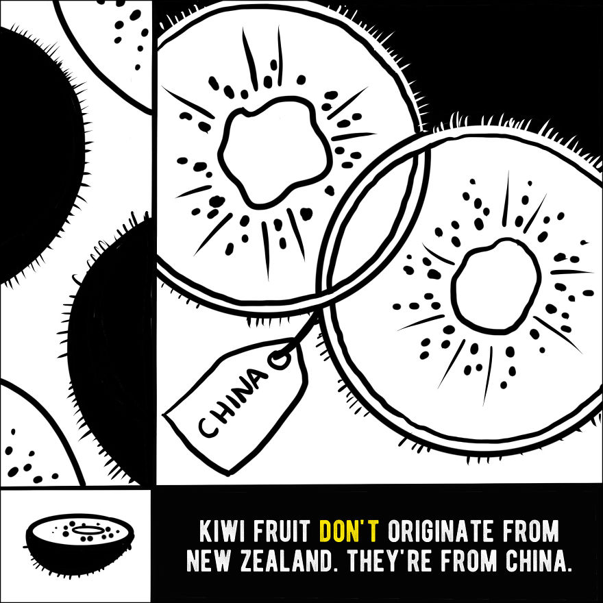 We Illustrated 20 Interesting Facts About New Zealand That You Probably Didn't Know
