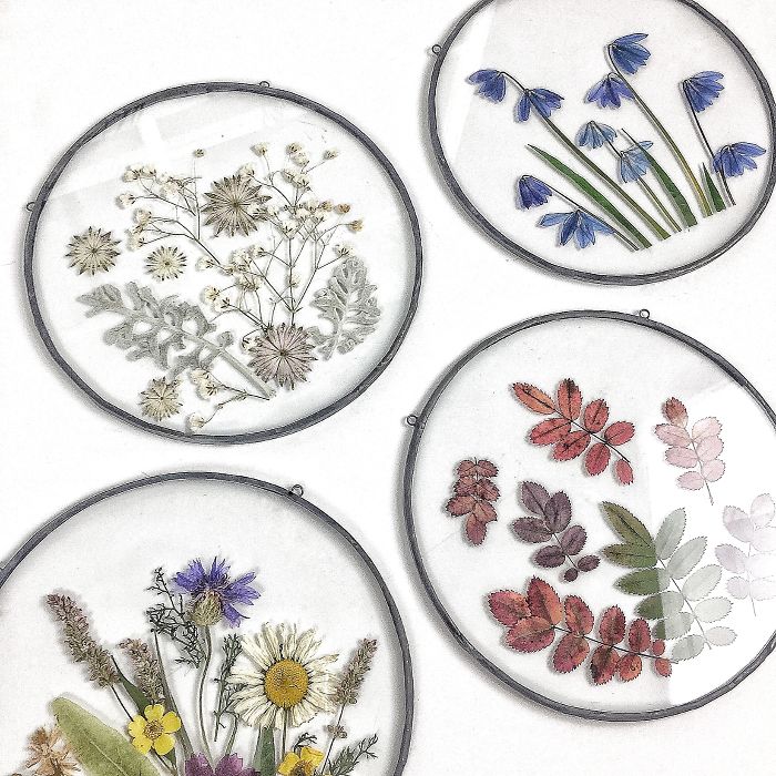 About Two Years Ago, I Picked Up A New Hobby Of Making Flower Herbariums And Here Are My Recent Works About Two Years Ago, I Picked Up A New Hobby Of Making Flower Herbariums And Here Are My Recent Works