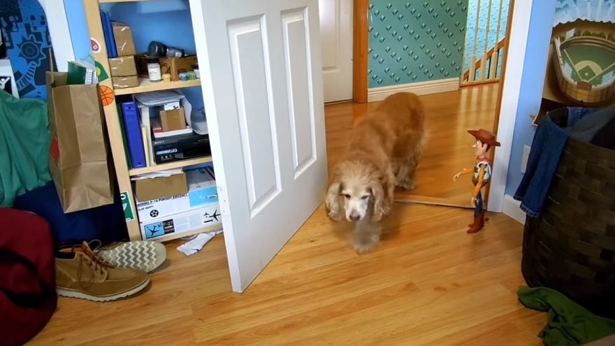 These Brothers Recreated The Whole Movie Of "Toy Story 3" And It Took Them 8 Years